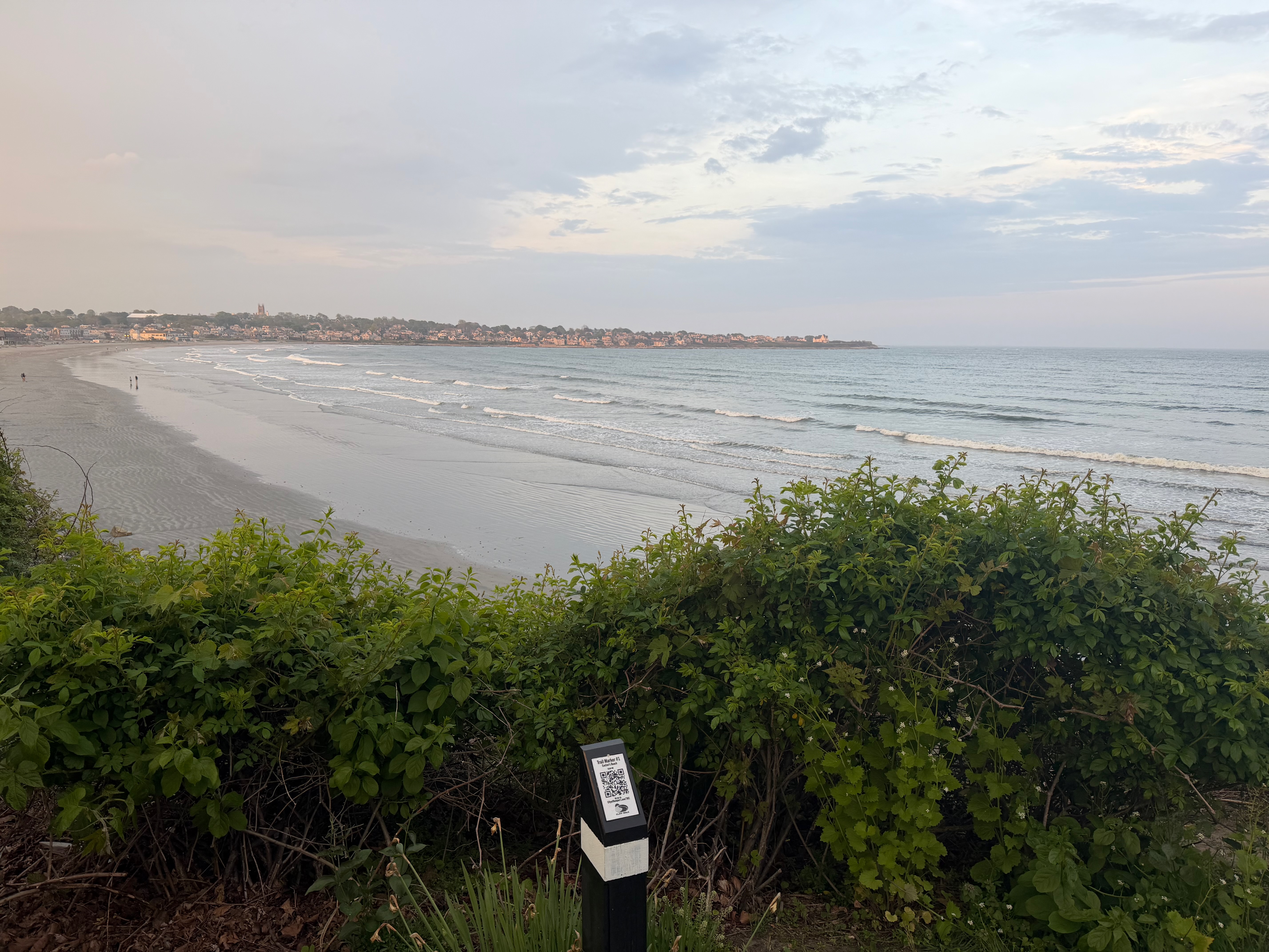 Eastons Beach in Newport