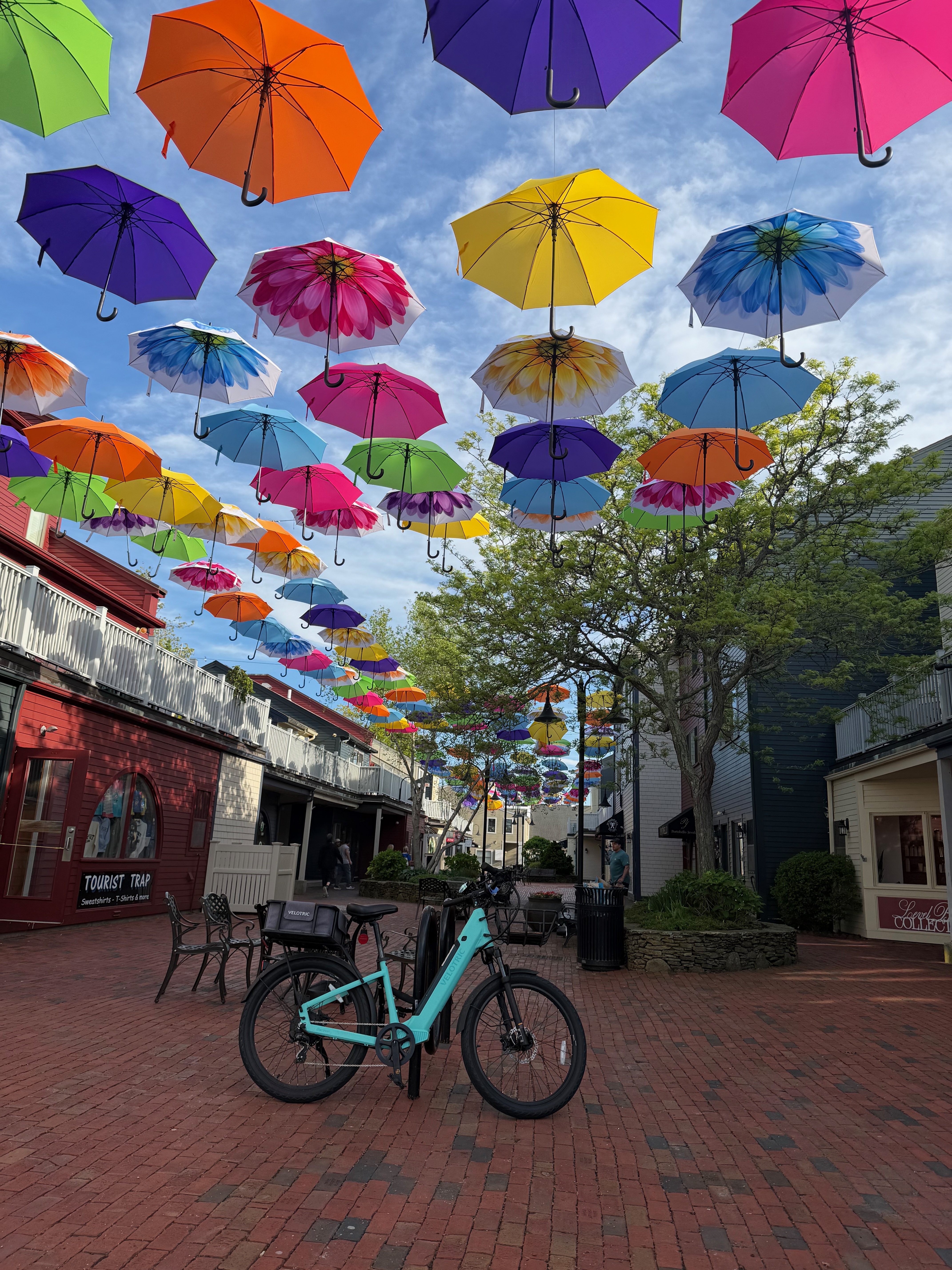 Umbrellas in Newport