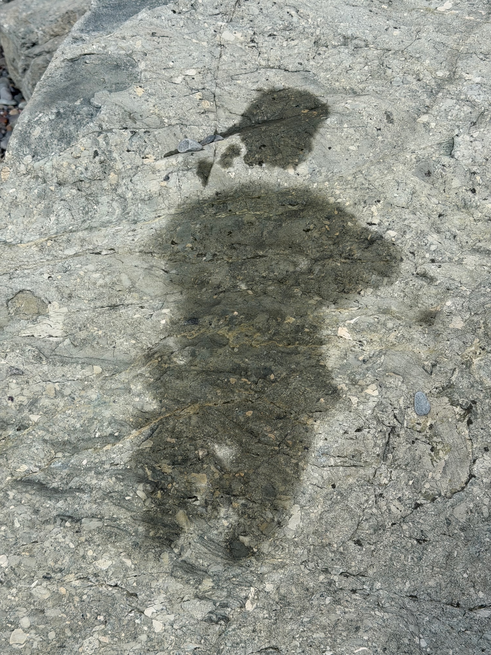 Sweat Angel