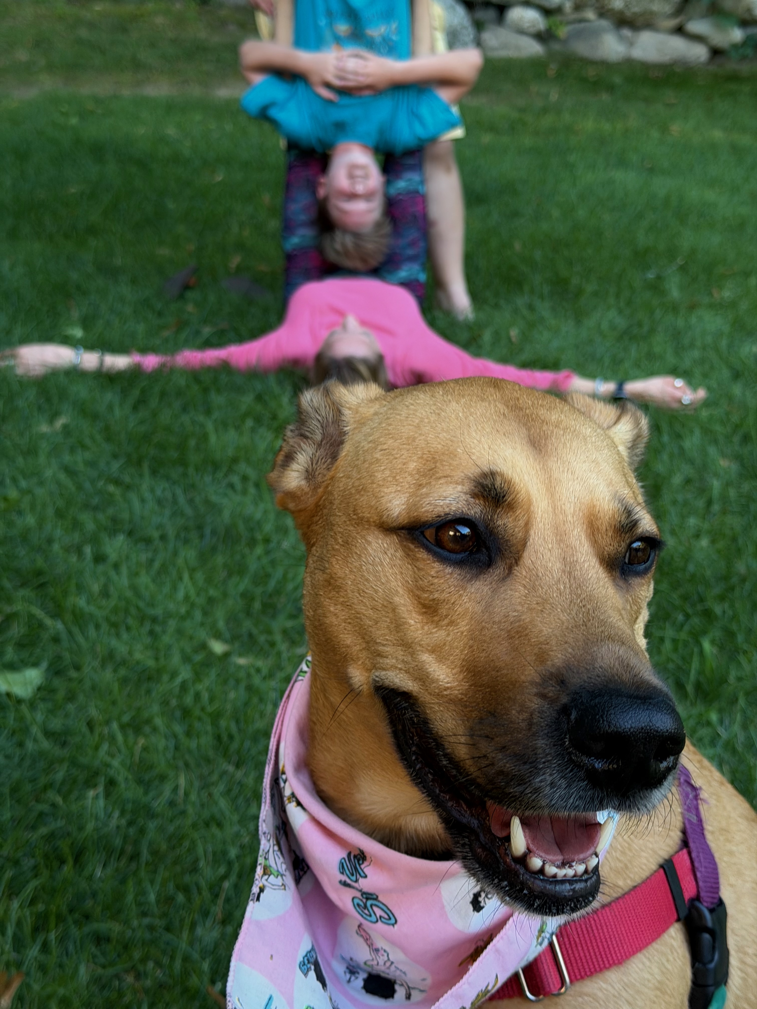 Coco doesn&rsquo;t like acro