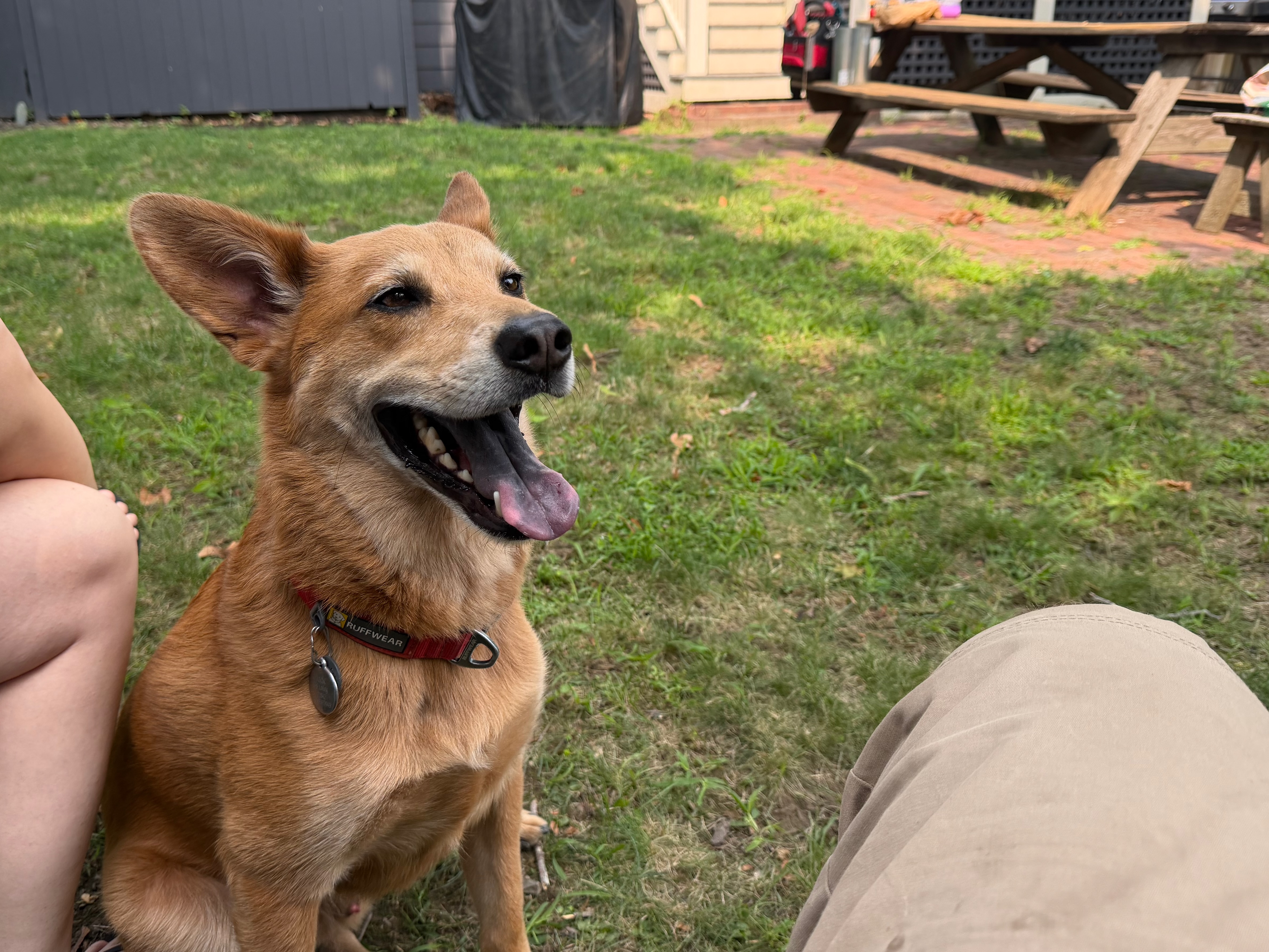 Coco&rsquo;s BFF Jack