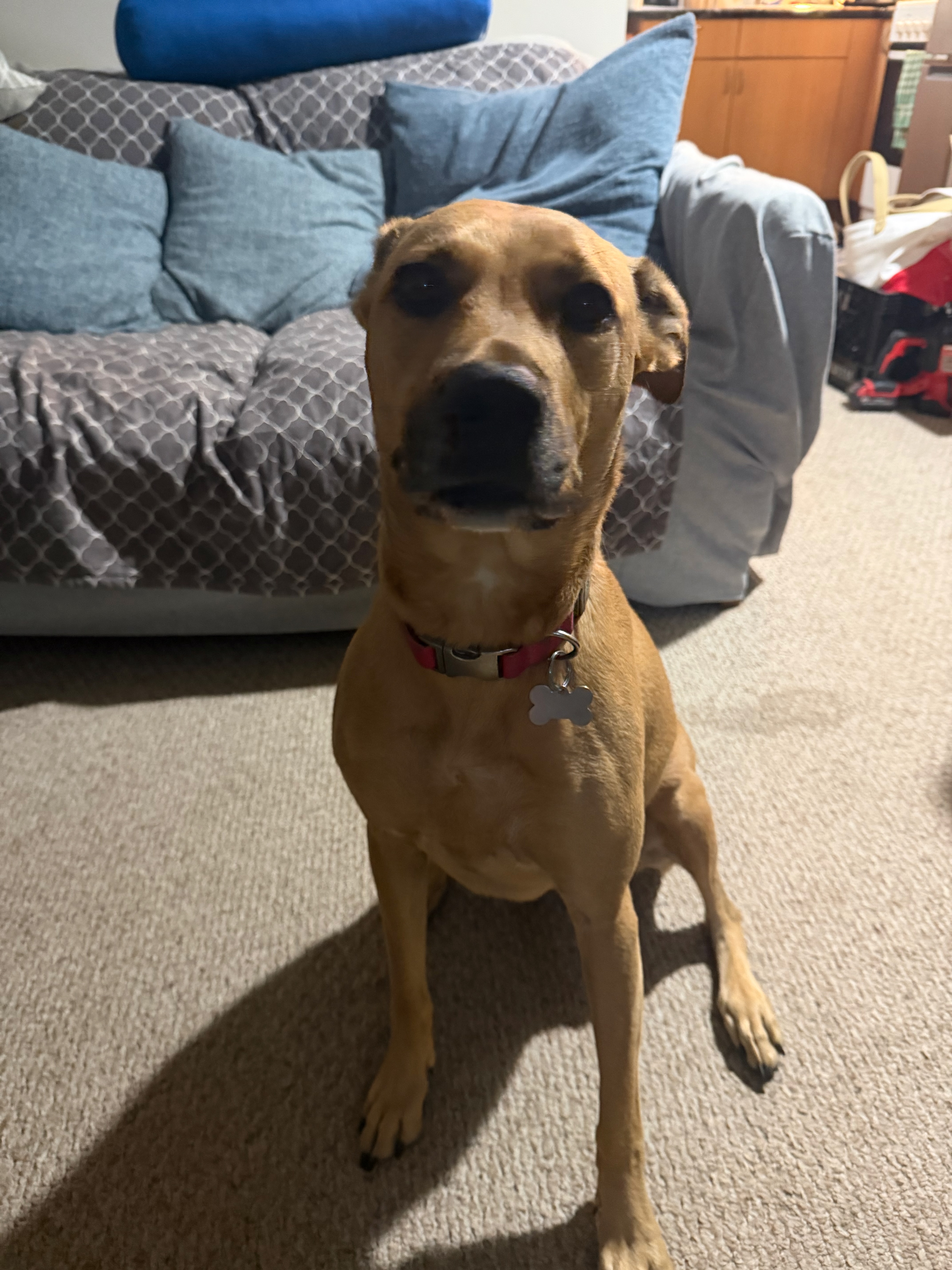 Coco