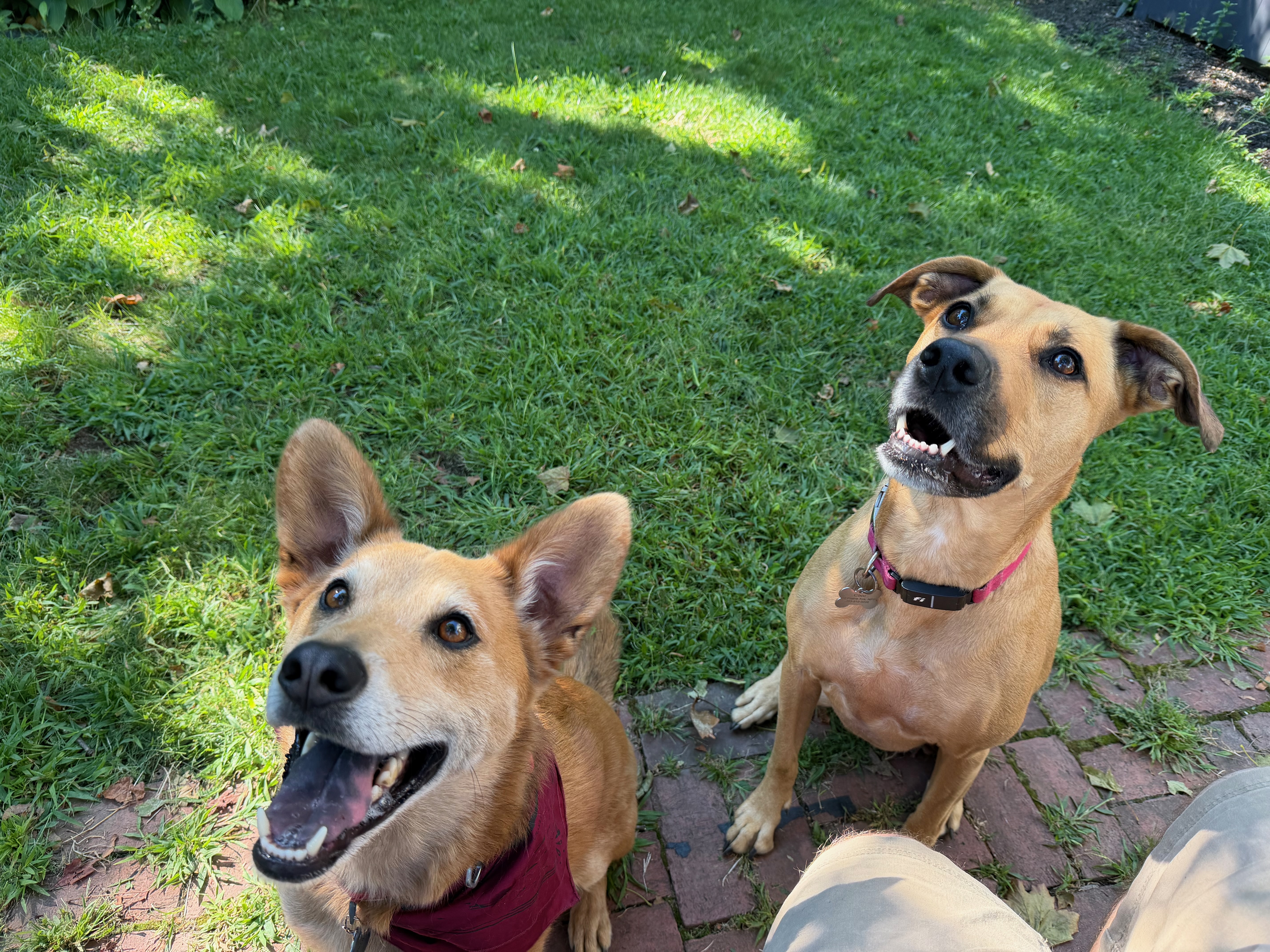 Coco & Jack