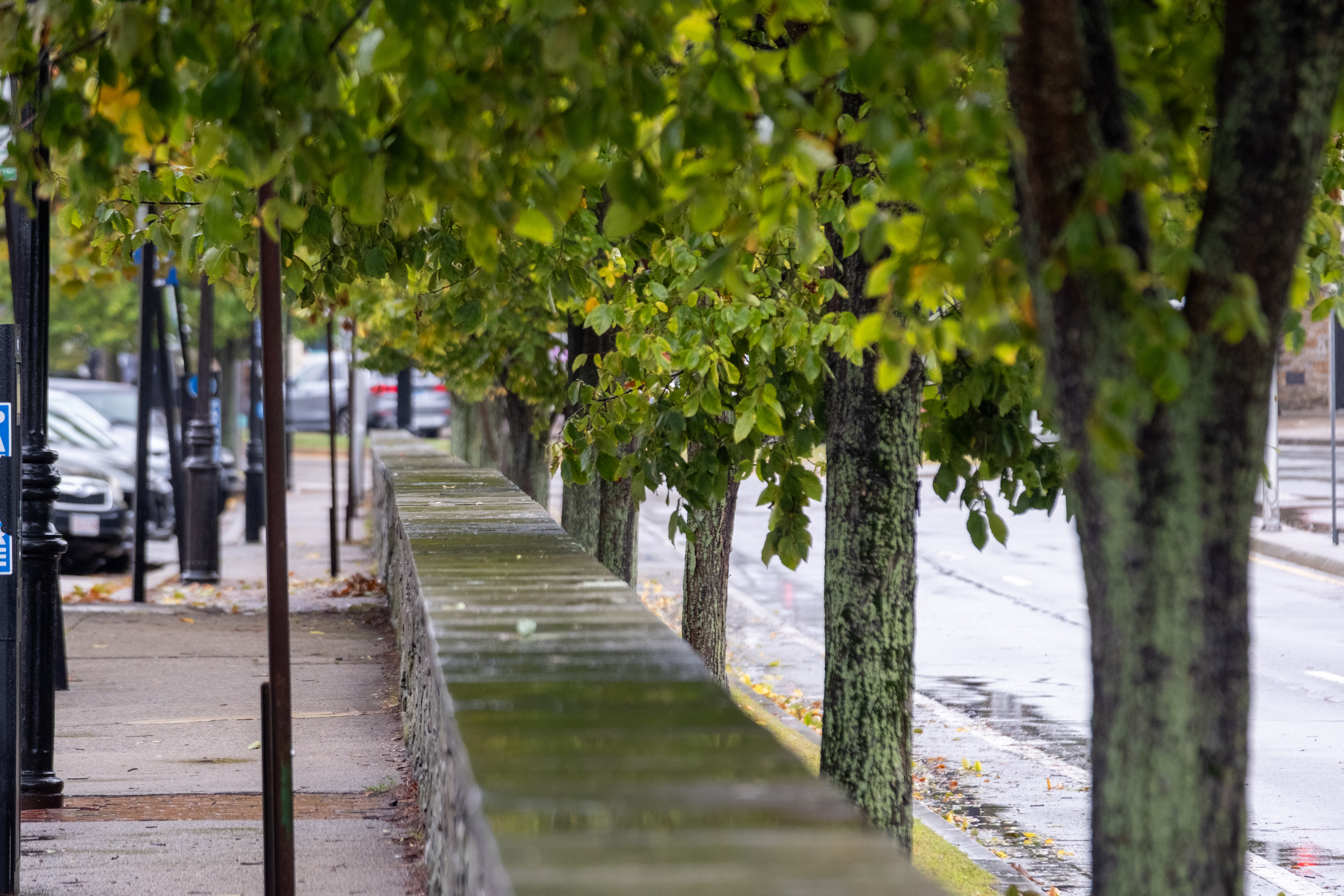 Nor&rsquo;easter in Newport series